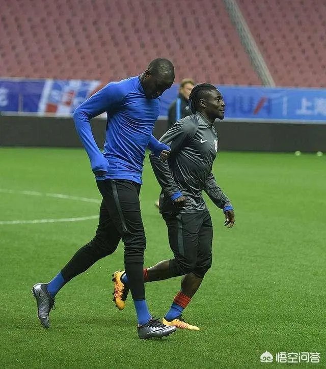 申花两年亚冠丢脸，弃登巴巴入特维斯，如今会再次弃伤号马丁斯吗？