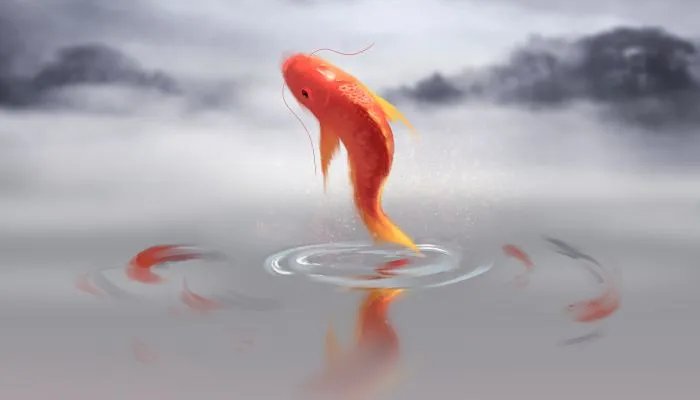 办公室鱼缸摆放位置