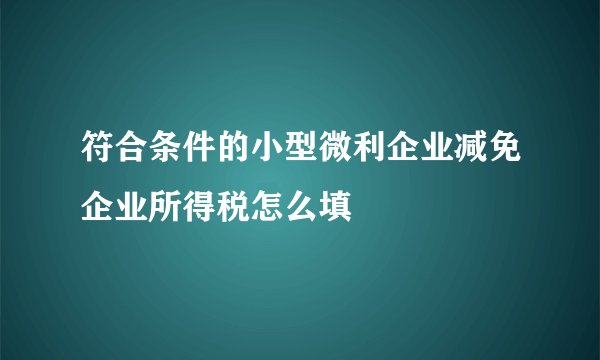 符合条件的小型微利企业减免企业所得税怎么填