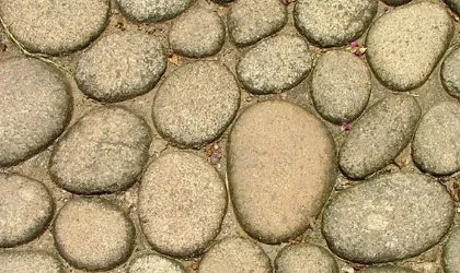 生活中的肌理有哪些呢（越多越好）