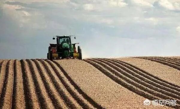 农村耕地出租多少钱一亩？直补归谁？