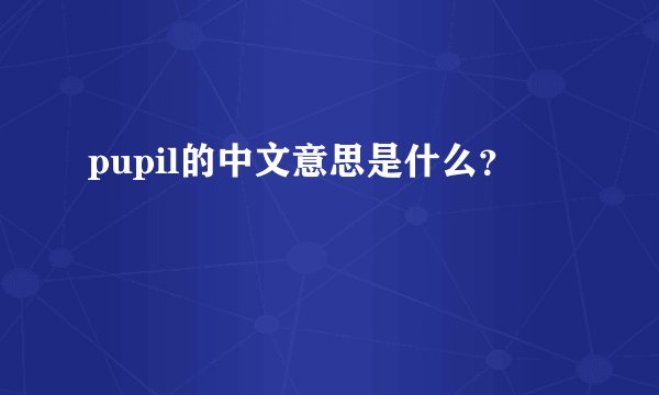 pupil的中文意思是什么？