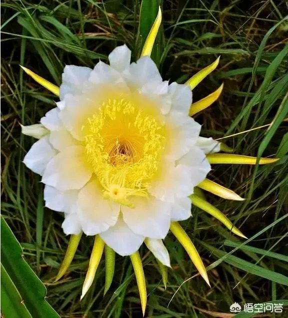 你人生中经历过最难接受的事是什么？