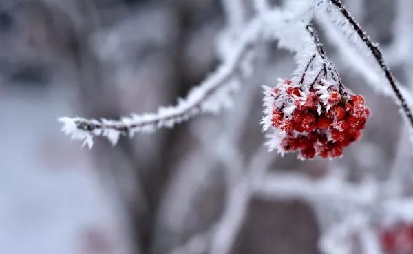 俗话说,“瑞雪兆丰年”是什么修辞手法