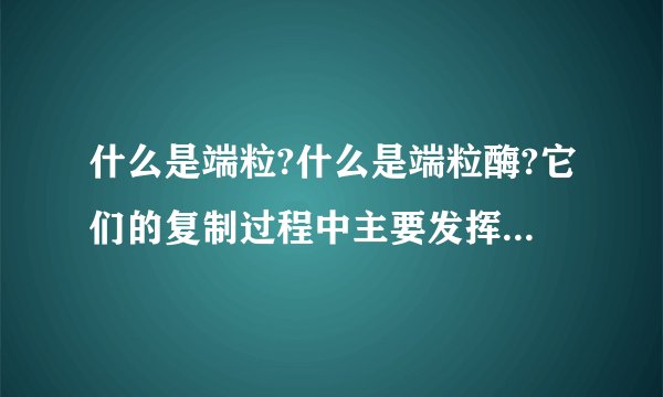 什么是端粒?什么是端粒酶?它们的复制过程中主要发挥什么作用