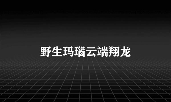 野生玛瑙云端翔龙