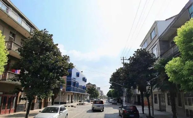 上海市南汇区文苑街什么意思