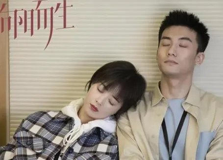 向阳而生电视剧剧情介绍