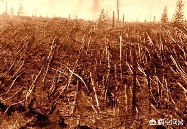 什么是通古斯事件？为什么会发生大爆炸？