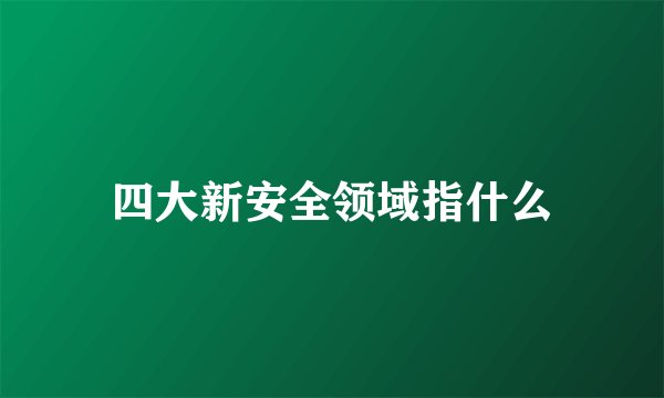 四大新安全领域指什么