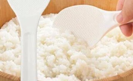 做寿司需要什么材料及食材