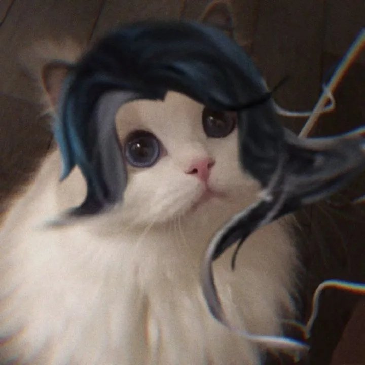 《王者荣耀》猫咪接头头像大全