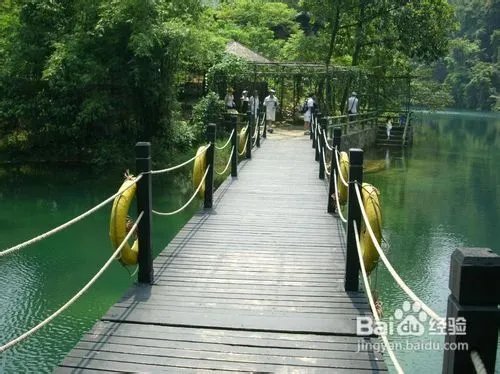 深圳到肇庆七星岩鼎湖山二日游