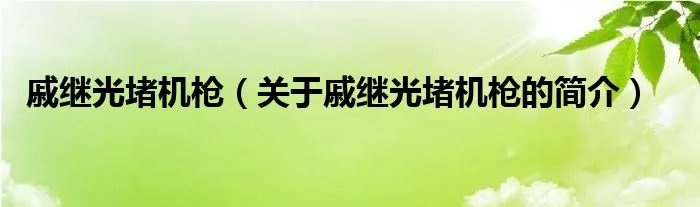 戚继光堵机枪（关于戚继光堵机枪的简介）