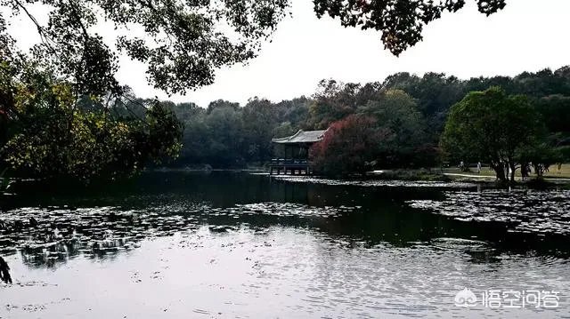 南京有哪些地方值得摄影师去拍照?