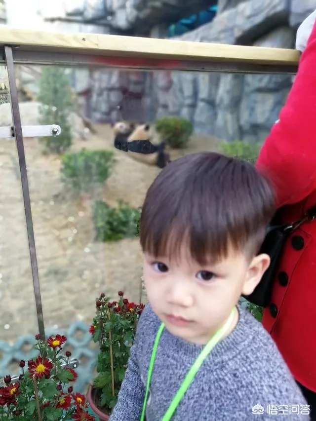 海丝动物园好玩吗