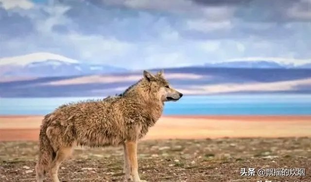 南京女大学生黄雨蒙失联事件蕴含怎样的经验和教训？