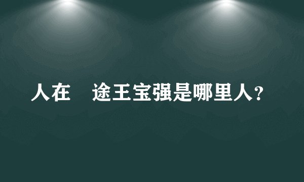 人在囧途王宝强是哪里人？