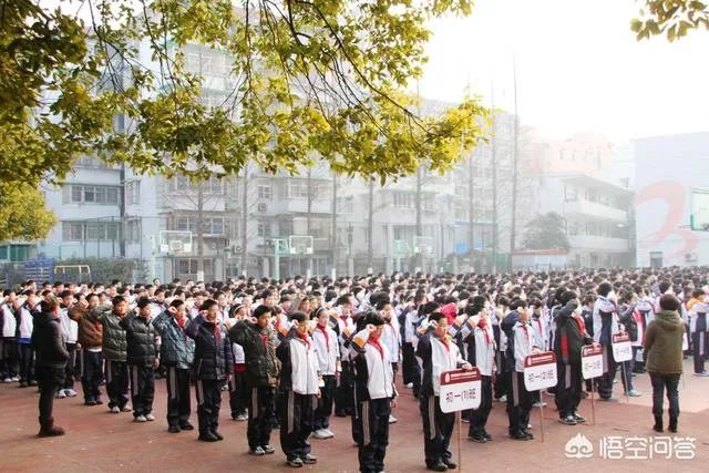 为什么有人说好学校是稀缺资源？中国教师的学历到底有多高？