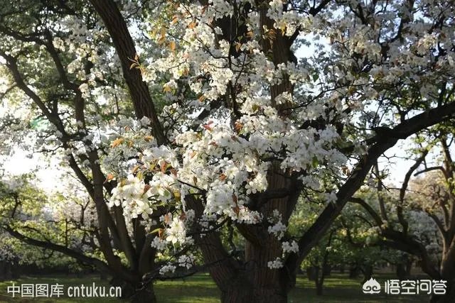 兰州有哪些好吃好玩的？