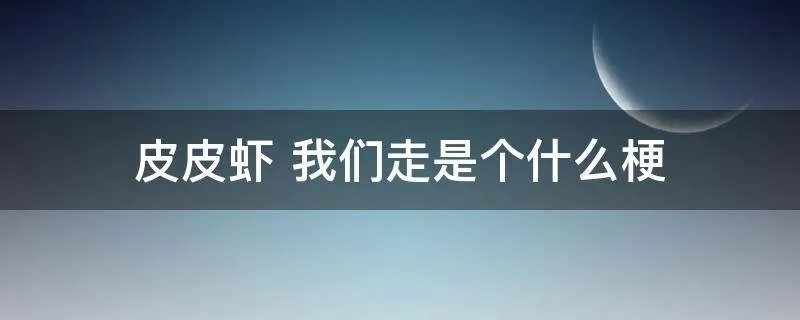 皮皮虾 我们走是个什么梗
