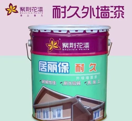 中国十大涂料品牌 2018中国十大涂料品牌排名