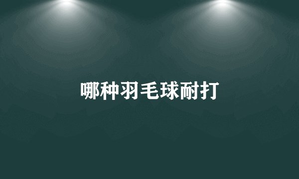 哪种羽毛球耐打