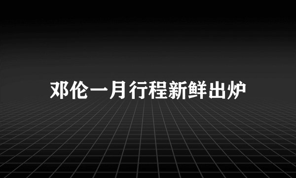 邓伦一月行程新鲜出炉
