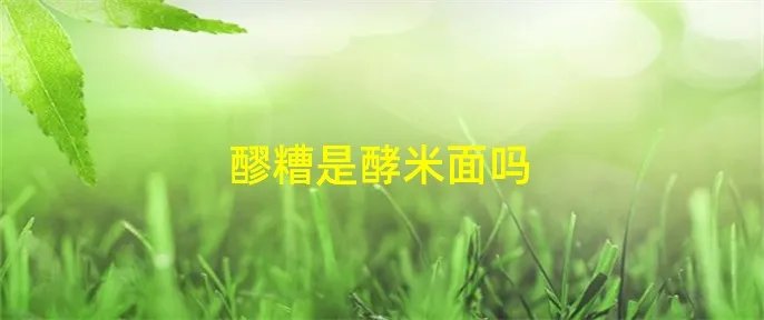 醪糟是酵米面吗