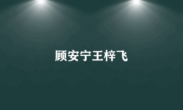 顾安宁王梓飞