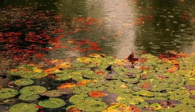 如何看待东北华北等地降温？