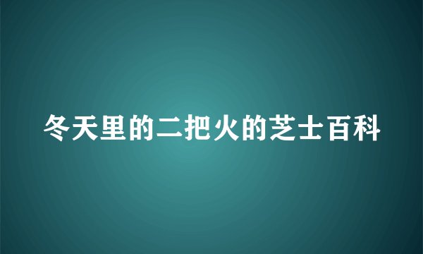 冬天里的二把火的芝士百科