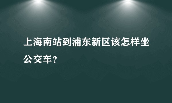 上海南站到浦东新区该怎样坐公交车？