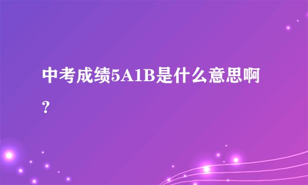中考成绩5A1B是什么意思啊？