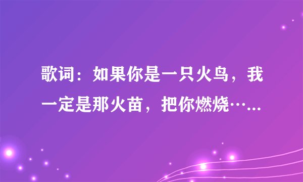 歌词：如果你是一只火鸟，我一定是那火苗，把你燃烧……。歌名是什么？
