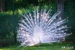 出联（1079）上联：中华腾飞，巾帼英雄创大业，如何对下联？