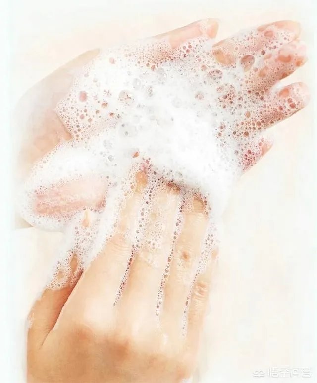 婵真银杏洗面奶怎么样？