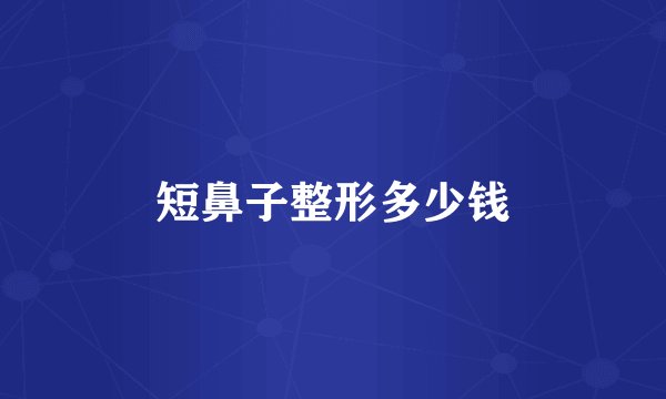 短鼻子整形多少钱