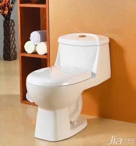 坐便器结构图解 坐便器选购技巧