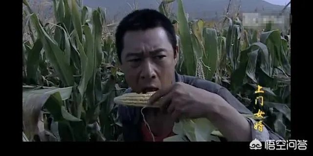 张丰毅版《上门女婿》的结局到底是怎么样的？你有什么看法？