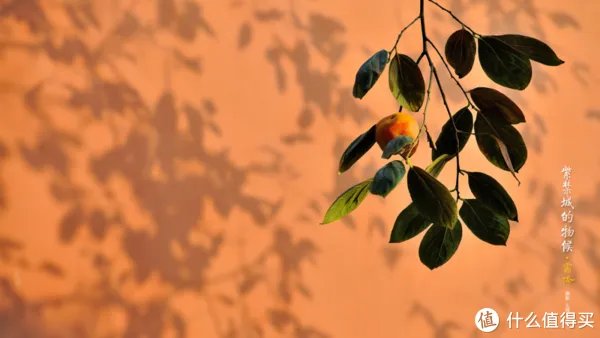 故宫出品的7个好玩有趣应用，让人怦然心动、流连忘返！