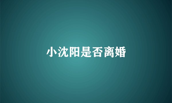 小沈阳是否离婚