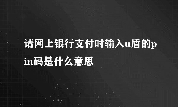 请网上银行支付时输入u盾的pin码是什么意思