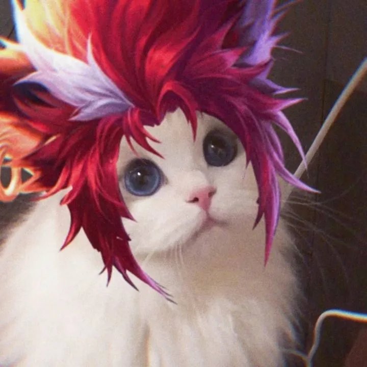 《王者荣耀》猫咪接头头像大全