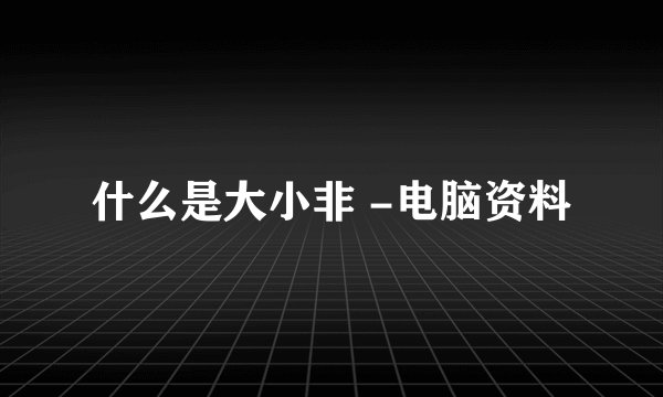 什么是大小非 -电脑资料