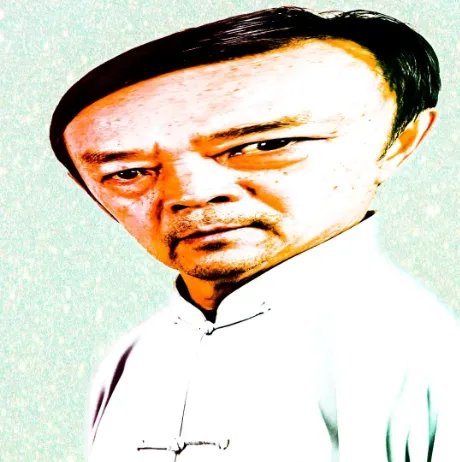 马保国高清头像大全