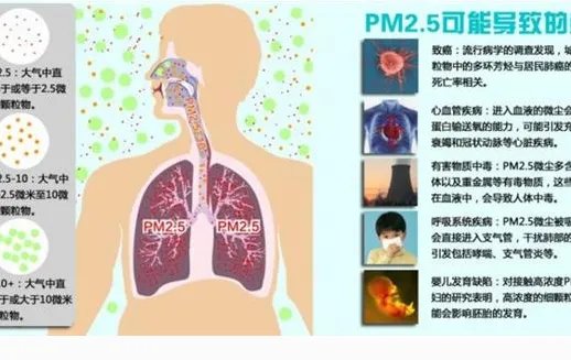 天津PM2.5浓度同比下降了三成吗?
