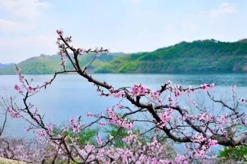 好听的中国民谣