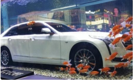 开凯迪拉克追高铁女孩这个故事是真的吗？