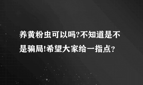 养黄粉虫可以吗?不知道是不是骗局!希望大家给一指点？